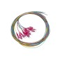 SET 12 CAVI PIGTAIL FIBRA OTTICA COLORATI CONNETTORI LC OM4 SIMPLEX 2 MT