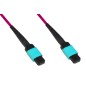CAVO FIBRA OTTICA MPO/MPO FEMMINA/FEMMINA 12 FIBRE OM4 MT 2 TIPO B