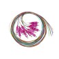 SET 12 CAVI PIGTAIL FIBRA OTTICA COLORATI CONNETTORI SC OM4 SIMPLEX 2 MT