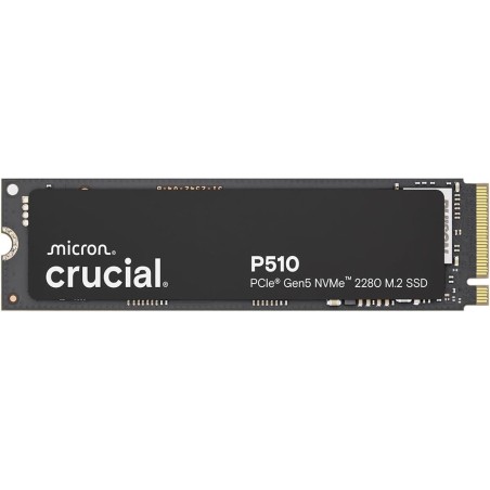 https://www.fileimmagini.it/prodth/CT1000P510SSD8.jpg