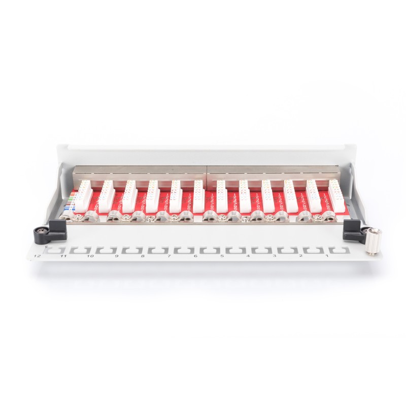 PANNELLO PATCH DESKTOP PER RETI CAT 6A CLASSE EA 12 PORTE COLORE GRIGIO DIGITUS