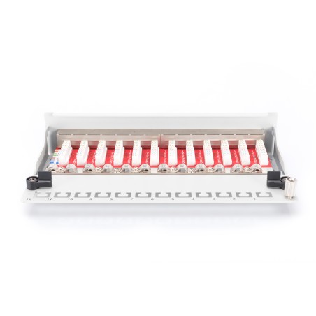 PANNELLO PATCH DESKTOP PER RETI CAT 6A CLASSE EA 12 PORTE COLORE GRIGIO DIGITUS