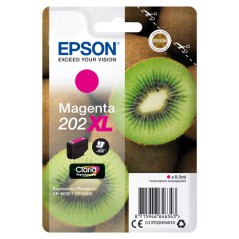 https://www.fileimmagini.it/prodth/C13T02H34010ICE_.jpg