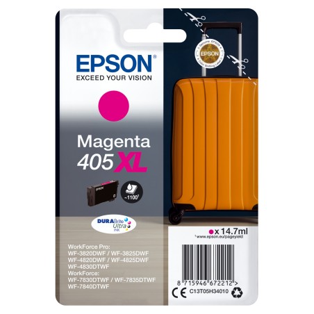 https://www.fileimmagini.it/prodth/C13T05H34010.jpg