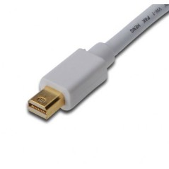CAVO ADATTATORE DISPLAYPORT MINI DP/MASCHIO - DVI(24+1)/MASCHIO MT. 2