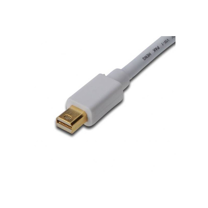 CAVO ADATTATORE DISPLAYPORT MINI DP/MASCHIO - DVI(24+1)/MASCHIO MT. 2