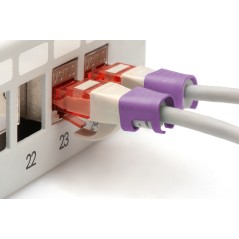 DIGITUS CONFEZIONE 100 PEZZI CLIP COLORATE PER CAVI DI RETE - VIOLA