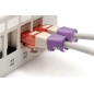 DIGITUS CONFEZIONE 100 PEZZI CLIP COLORATE PER CAVI DI RETE - VIOLA