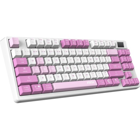 https://www.fileimmagini.it/prodth/S1143ITQ01HH9.jpg