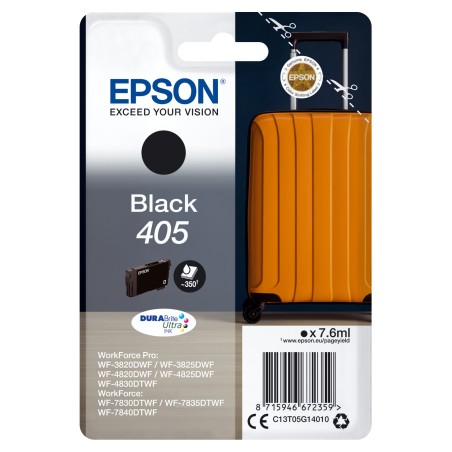 https://www.fileimmagini.it/prodth/C13T05G14010.jpg