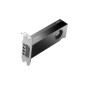 HP VGA QUADRO RTX PRO 2000 BLACKWELL, 16GB GDDR7, 4mDP, LOW PROFILE