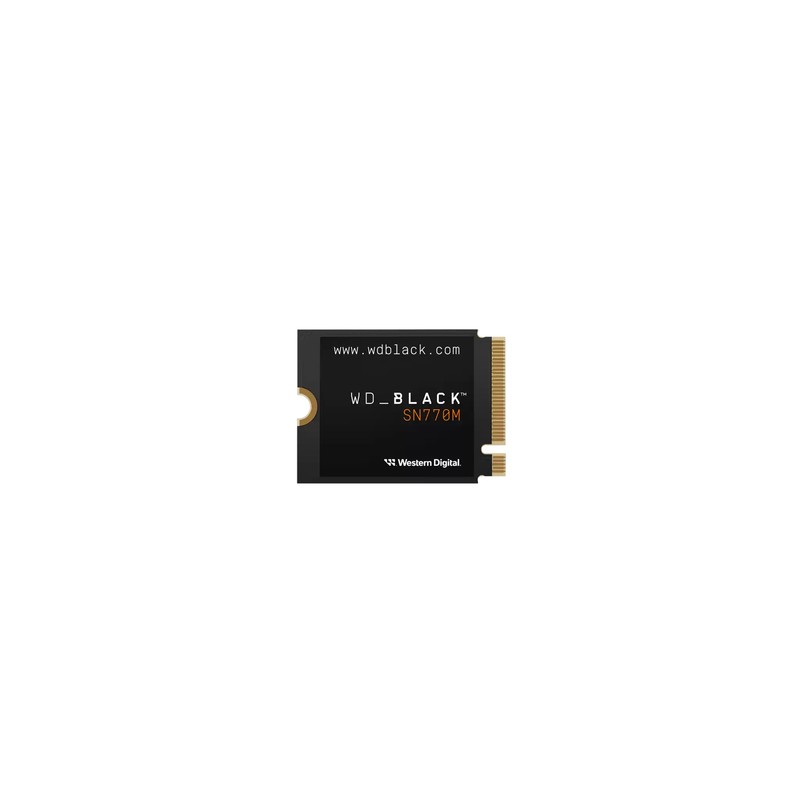 WESTERN DIGITAL SSD BLACK INTERNO SN770M M2 2230