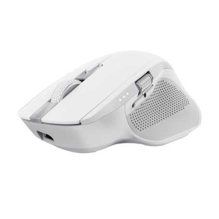 https://www.fileimmagini.it/prodth/24935ICE_.jpg