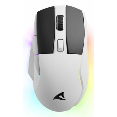 https://www.fileimmagini.it/prodth/SKILLERSGM50WWICE_.jpg