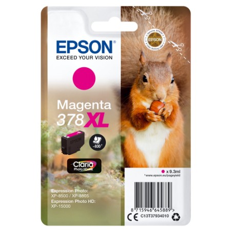 https://www.fileimmagini.it/prodth/C13T37934010ICE_.jpg
