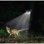 VIDEOCAMERA SOLARE PER ESTERNO FULL HD CON LAMPADA LED