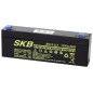 BATTERIA AL PIOMBO 12 VOLT2.3AH MISURE 178X34X67