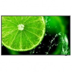 MONITOR 65VA NEC UHD VGA 3HDMI 4K MM NEC E658