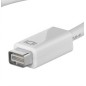 ADATTATORE MINI DVI MASCHIO - HDMI FEMMINA