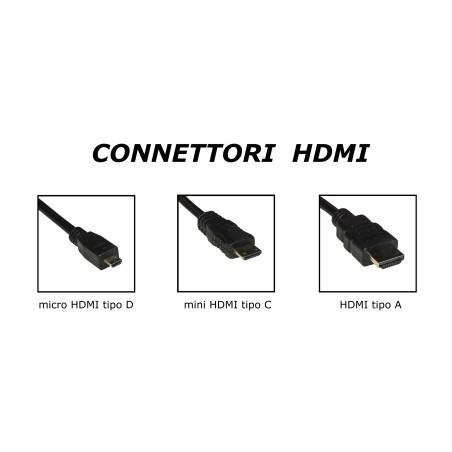 CAVO MICRO HDMI D MASCHIO - DVI 24+1 MASCHIO MT 2 DELOCK