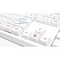 SET DI 127 TASTI KEYCAPS SUMMER PAINTING PBT XDA