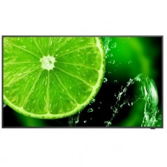 MONITOR 49VA NEC UHD VGA 3HDMI 4K MM NEC E498