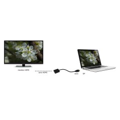 ADATTATORE DISPLAYPORT MASCHIO - HDMI® FEMMINA