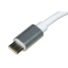 ADATTATORE USB-C MASCHIO - HDMI® FEMMINA