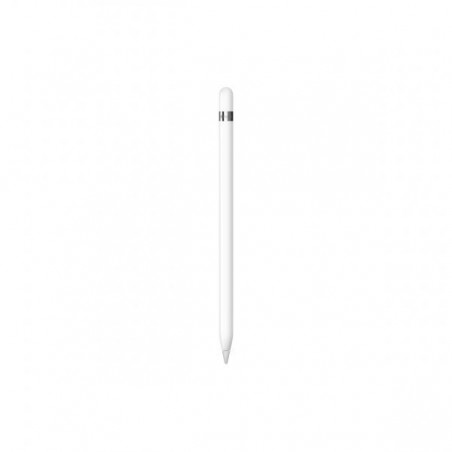APPLE PENCIL PENNA X IPAD 1°,GE 2022 ( IPAD 10.9 10GEN.)