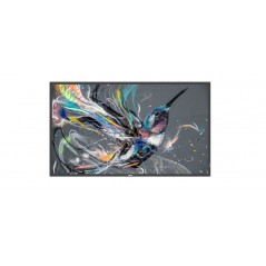 MONITOR 55DS LED MM DVI LAN HDMI 4K PHILIPS 55BDL3511Q/00 400CD