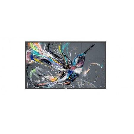 MONITOR 55DS LED MM DVI LAN HDMI 4K PHILIPS 55BDL3511Q/00 400CD